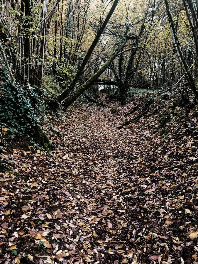 La Ferme Du Pont De Maumy, Cabane Au Bord De L'Etang Et Bain Nordique Busserolles Εξωτερικό φωτογραφία