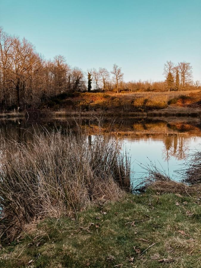 La Ferme Du Pont De Maumy, Cabane Au Bord De L'Etang Et Bain Nordique Busserolles Εξωτερικό φωτογραφία