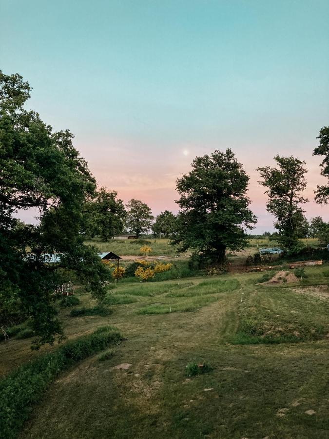 La Ferme Du Pont De Maumy, Cabane Au Bord De L'Etang Et Bain Nordique Busserolles Εξωτερικό φωτογραφία